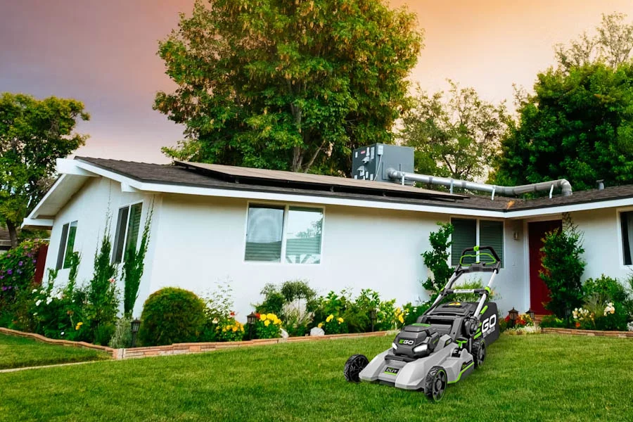 lawn mower for small yard